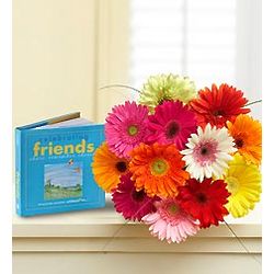 Gerbera Daisies with Celebrating Friends Book