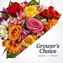 Grower's Choice Bouquet