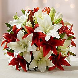 14-Stem Holiday Lily Bouquet