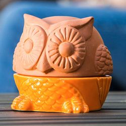 All-Natural Mosquito and Bug Repellent Owl Oil Diffuser