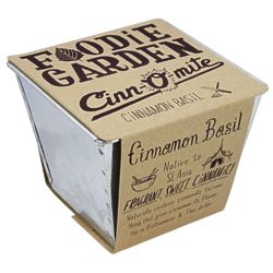 Foodie's Cinnamon Basil Garden Kit