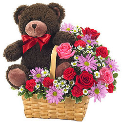 Teddy Bear in Medium Flower Basket