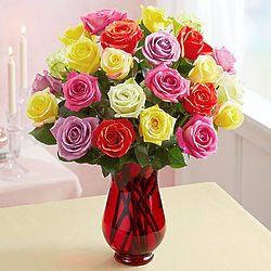 2 Dozen Assorted Roses in Red Vase