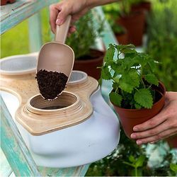 Living Composter and Planter