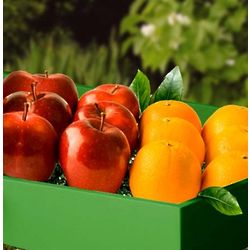 Apples and Oranges, Oh My Gift Box
