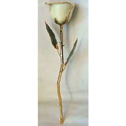 White Preserved and 24 Karat Gold Rose