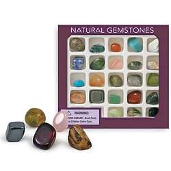 Crystal and Mineral Gemstone Collection Box