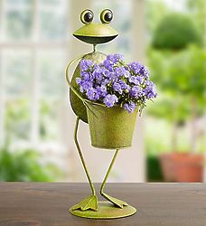 Friendly Frog Planter with Purple Campanula Plant
