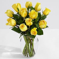 One Dozen Long Stemmed Yellow Roses