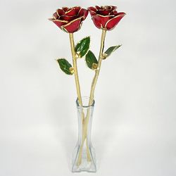 Two 18" Anniversary Gold Roses with Vase