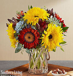 Sunflower Succulent Garden Bouquet in Lantern Vase