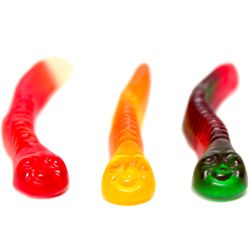 1 Pound of Assorted Fruit Gummy Worm Candies