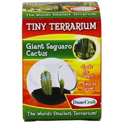 Tiny Terrarium Kit with Giant Saguaro Cactus