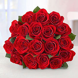 18 Stem Red Rose Bouquet