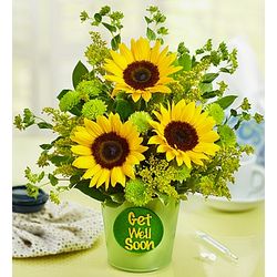 Get Well Soon Bouquet in Green Tin