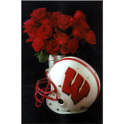 Wisconsin Badgers Helmet and Roses 5x7 Photograph