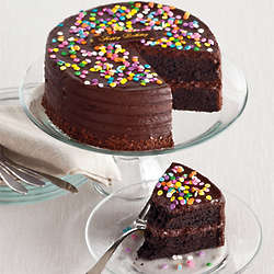 Two-Layered Dark Chocolate Birthday Cake