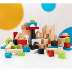 Children's 100-Piece Wooden Building Block Set