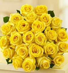 24 Stem Yellow Roses Bouquet