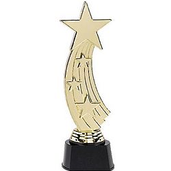 Hollywood Star Award