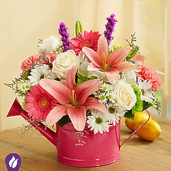 Stunning Symphony Bouquet in Pink Watering Can