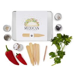 Mexican Kitchen Garden Kit