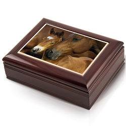 Mother Horse and Baby Tile Photo Musical Jewelry Box
