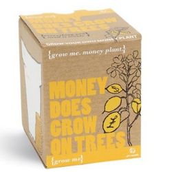 Money Does Grow on Trees Plant Kit