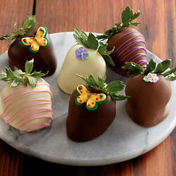 Butterfly Hand-Dipped Chocolate-Covered Strawberries