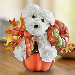 A-dog-able Fall Bouquet