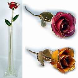 18" Long Stem Gold Edged Preserved Rose