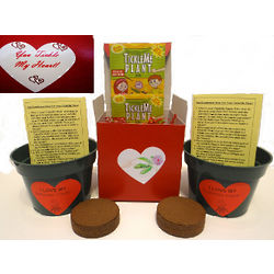 "You Tickle My Heart" TickleMe Plant Duo Gift Box