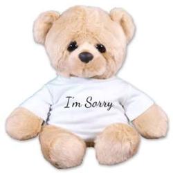 I'm Sorry 18" Teddy Bear