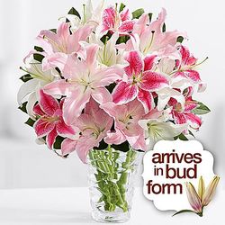 Premium Birthday Oriental Lilies Bouquet