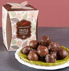 Assorted Fall Chocolate Truffles
