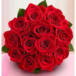 Bouquet of One Dozen Red Roses