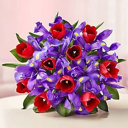 Bunches of Love Tulip and Iris Bouquet