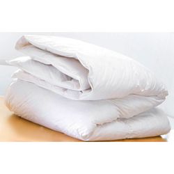 Feather and Down Holiday Inn King Duvet Blanket in White