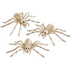 Halloween Spider Skeleton