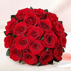18-Stem Red Rose Bouquet - FindGift.com