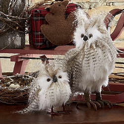 Set of 2 Snowy Owls