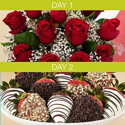 One Dozen Red Roses and 12 Hand-Dipped Strawberries Surprise