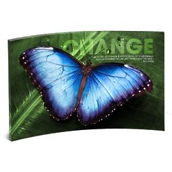 Change Butterfly Curved Acrylic Desktop Print
