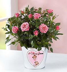 Monkey Love Planter with Pink Rose Plant