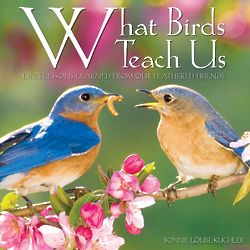 What Birds Teach Us Hardcover Book