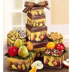 Thank You Succulent Fresh Fruit Gift Tower