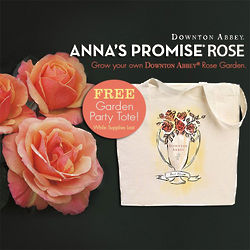 Downton Abbey Anna's Promise Garden Rose and Tote