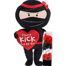 I Get a Kick Out of You Plush Ninja and Fruit Candy Gift Set