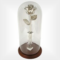 20th Anniversary 11 Inch Platinum Enchanted Preserved Rose