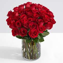 Three Dozen Red Roses with Glass Tulip Vase
